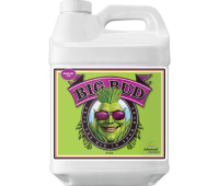Big Bud Liquid 500ml