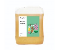 SIMPLEX Aroma Punch 5 L