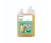 SIMPLEX Aroma Punch 1 L