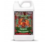 Phoenix (Nirvana) 1L